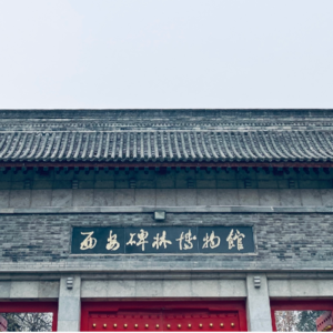 3.字说字话「饿了就去Museum」西安碑林博物馆