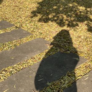 火山在休眠