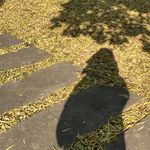 火山在休眠