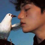 如果我像爱它一样爱我