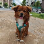 暴躁的蛋蛋