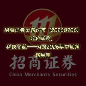 20260706-招商证券策略论市:分化加剧,科技领航——A股2026年中期策略展望