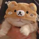 莲藕排骨