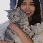 惟惟惟