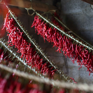 35. 辣椒可能很咸，而八角竟然有甜的