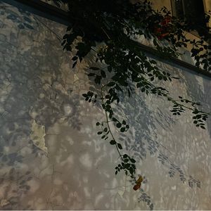 podcaster-avatar