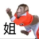 除了我都是猪_