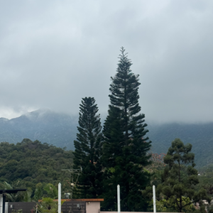 03/13/2026 轻练习:2026愿景设定