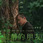 如果像植物一样看世界，我们还有烦恼吗？