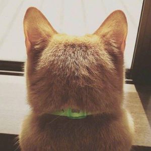 185步频中文串烧01