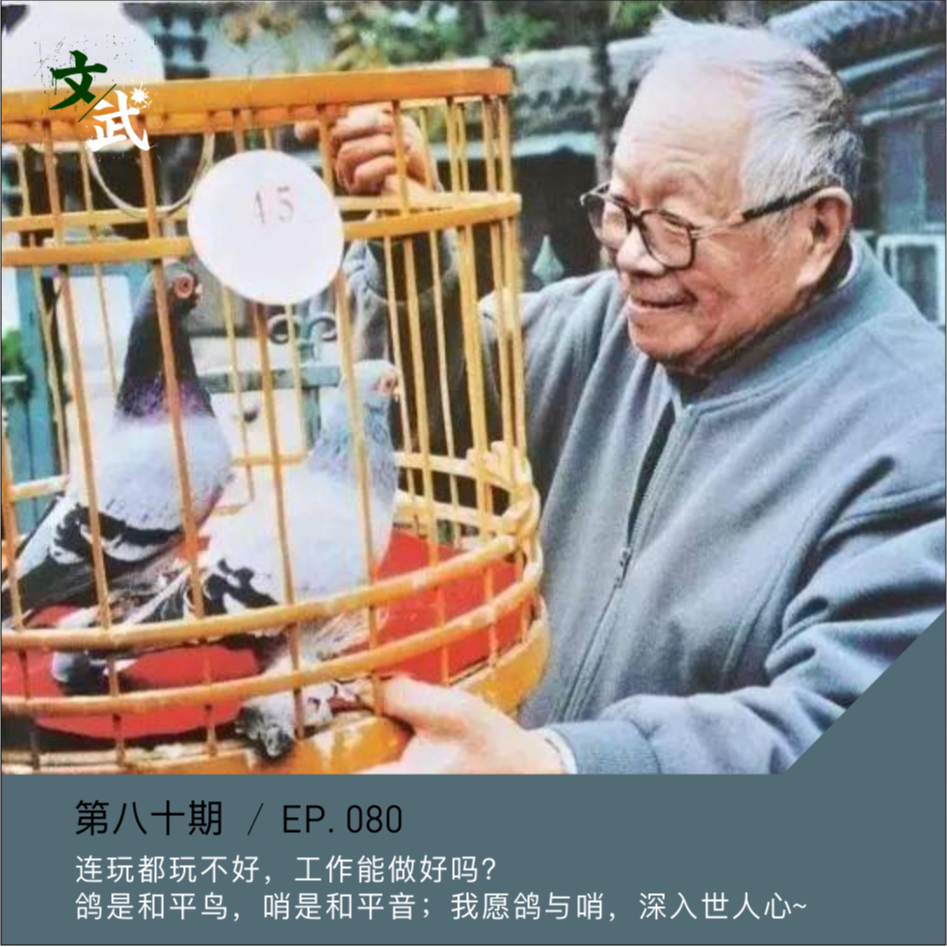 cover of episode EP080 不明白的是为何人世间，总不能溶解你的样子~造物的恩宠：北京的鸽子与声音