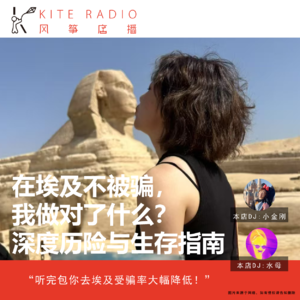 Vol.92| 在埃及不被骗，我做对了什么？深度历险与生存指南！