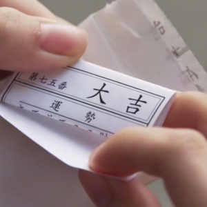 Vol.14 旅行是一场巨大的反刍，八年后上海终于成了我的精神故乡