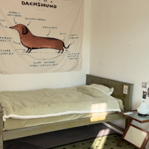 买东西还是应该明确需求后一步到位 📅 Jan.17