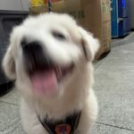 无限速路段