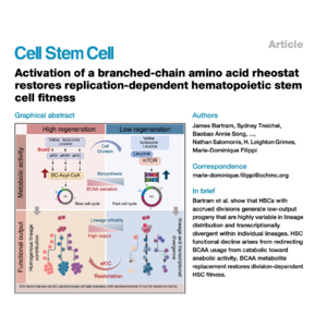 484-Metabolic Restoration of Stem Cell Fitness