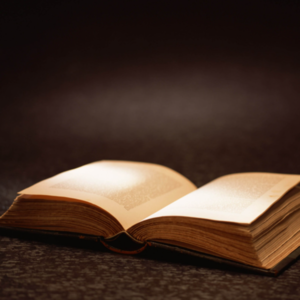 小黄鸭的读书笔记