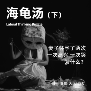 奇案悬案第二十一期：海龟汤特辑（下）