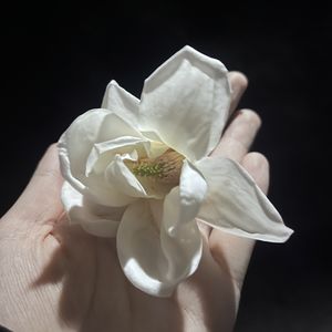 podcaster-avatar