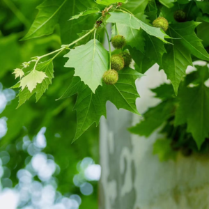 12.旅行像一场短期私奔，如何在旅行中与一座城“谈恋爱”