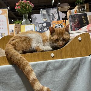 podcaster-avatar