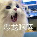 今晚抓老鼠1