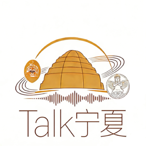 《宁夏游避坑全攻略｜talk 宁夏，菜包子聊宁夏》