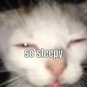 🌙💤助眠英语播客