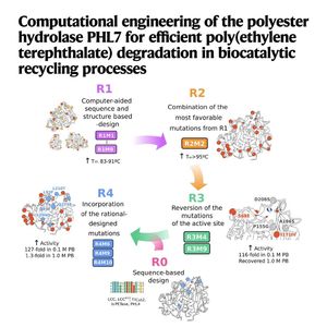 1101-Computational Engineering for PET Recycling