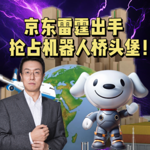 第613集 京东雷霆出手，抢占机器人桥头堡！