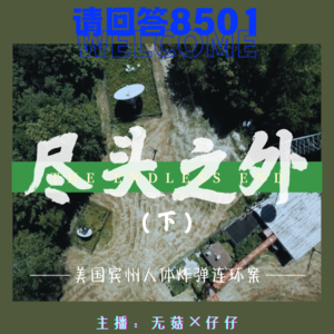 13·尽头之外（下）｜美国宾州人体炸弹连环案