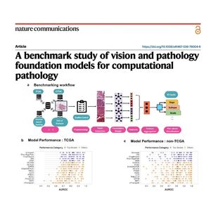 1589-Foundation Models for Computational Pathology