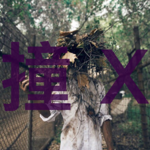 【粉丝投稿】北京胡同长发女诡