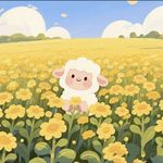 小羊sheep-