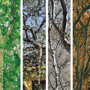 EP41-【工作养活人，爱好成就人】每天阅读3小时×20年 他因何做到？