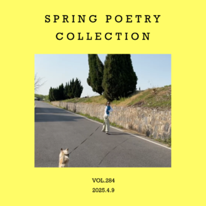 vol.284：这么好的春天，你不读诗吗？