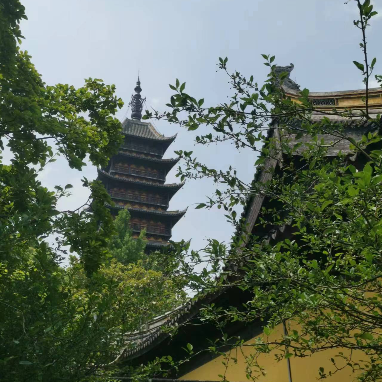 cover of episode EP70:SOLO徒步|自然，让万物穿过自己