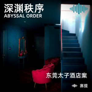 Vol.53 深渊秩序之《东莞太子酒店案》