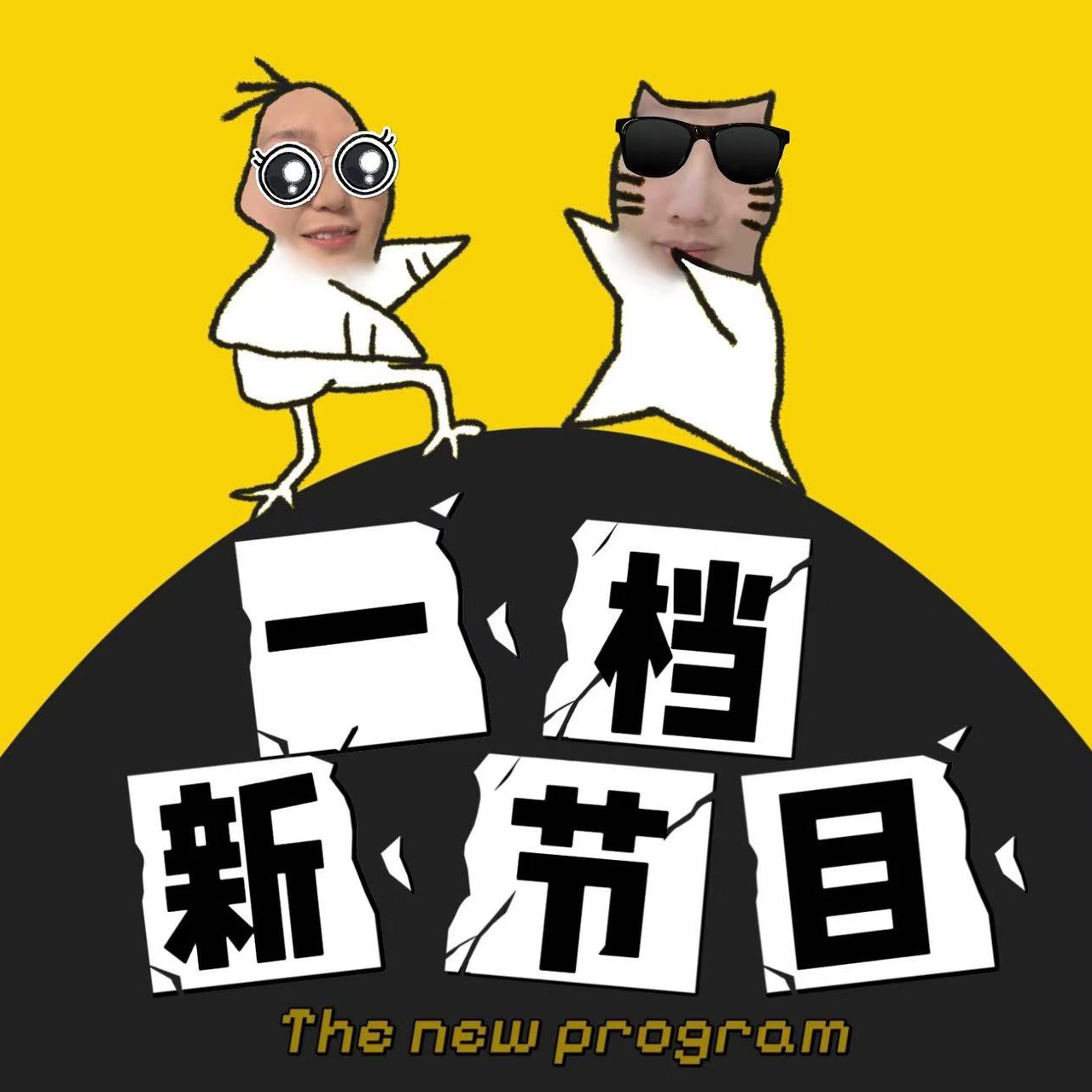 一档新节目