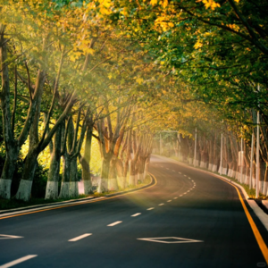 天赐声生现场氛围感|60分钟180步频跑步音乐节拍