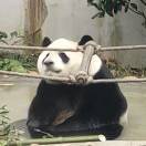 弗洛伊德早没了意识