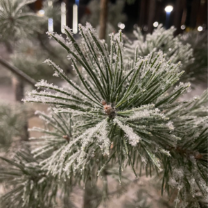 07 高考前逃离学校,女儿和妈妈互扔喜欢的东西