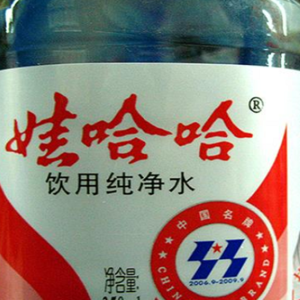 E21. 娃哈哈：昔日饮料巨头的兴衰启示录