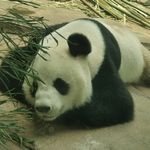 最重要就是开心