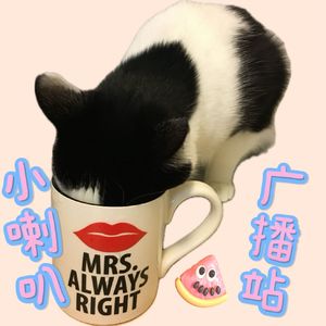 小喇叭广播站