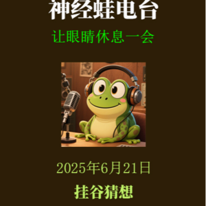挂谷猜想