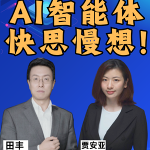 第358集 AI智能体，快思慢想！