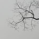 消磨时间我是同意的