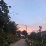 梦寐以求爱与自由