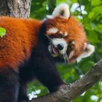 Jenny_0930_